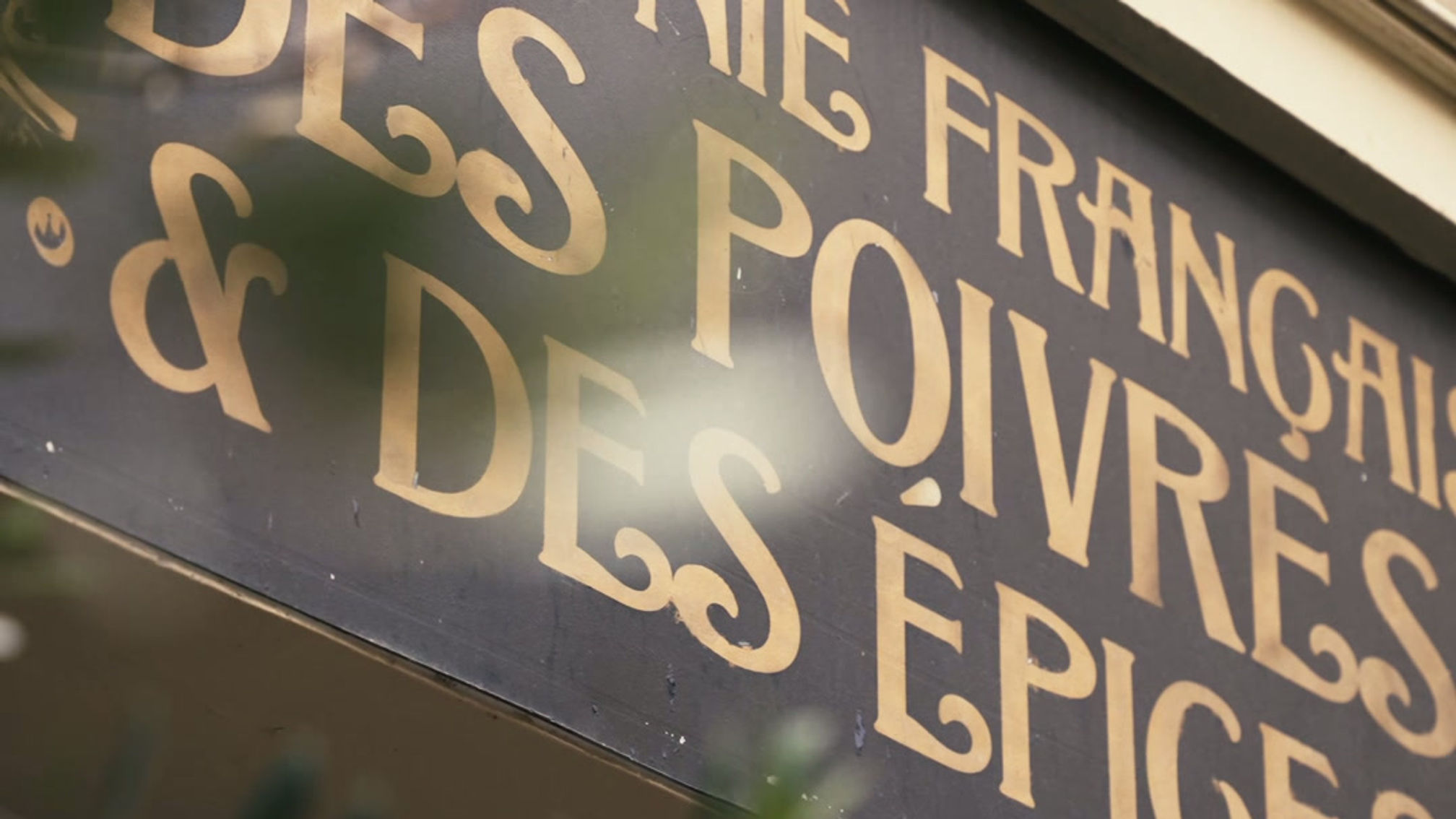 LF FABRICS - short 3